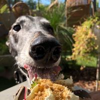 Kelly Louise Anderson's profile image