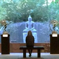 Nancy Torno's profile image