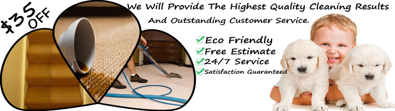 Carpet Cleaner Richardson TX's cover image