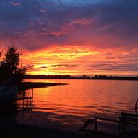 Lorrie Crute Boian's profile image