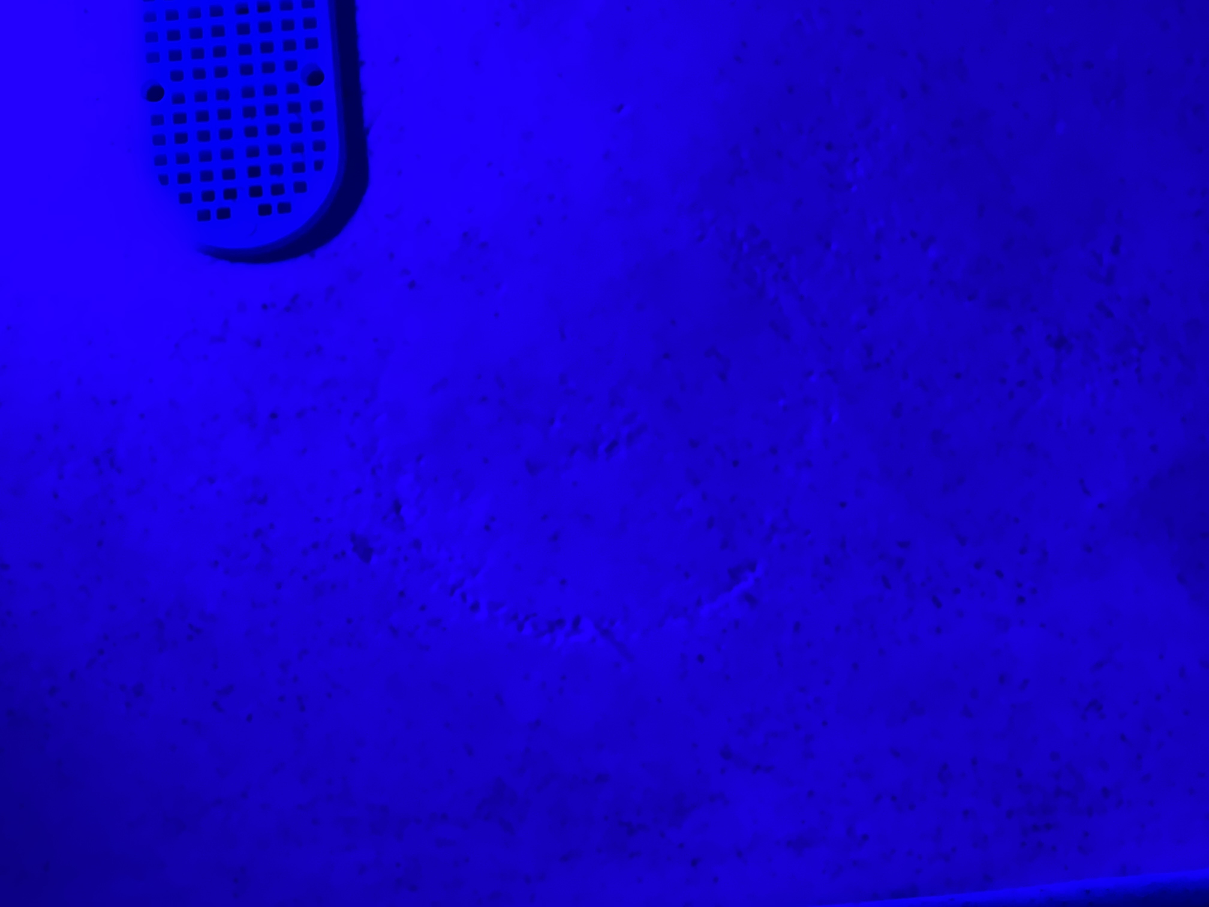 Dustin N.'s post 1