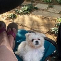 Linda Morton's profile image