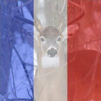 Barbara Martin's profile image