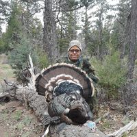 Mike Flagg's profile image