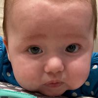 Verlan Nikkel's profile image