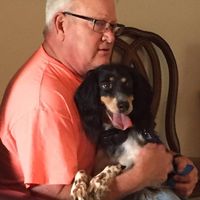 Neil Oehme's profile image