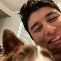 Enrique Ambriz's profile image