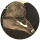 Vadym Tumakov avatar
