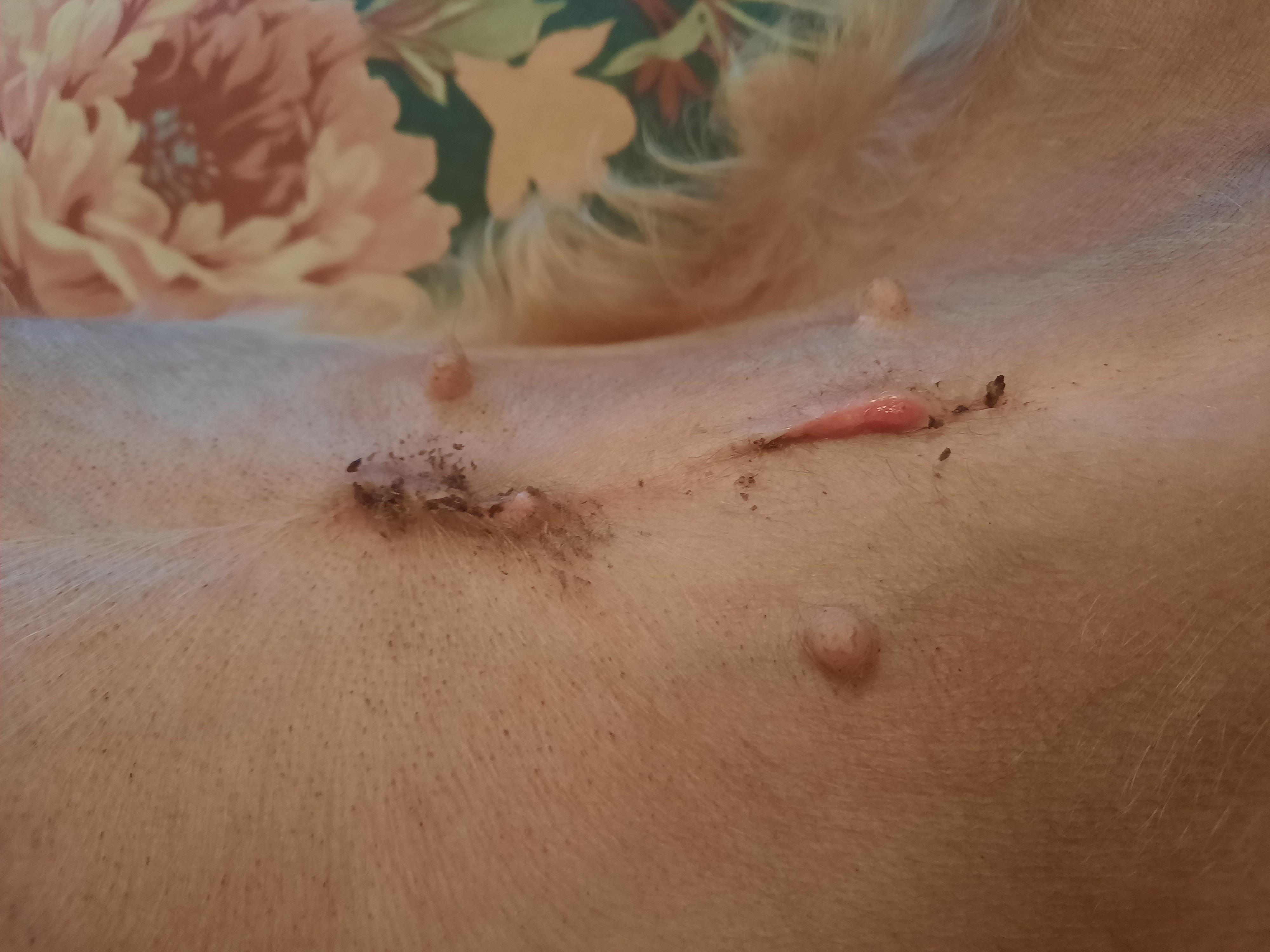 Judy F.'s post 3