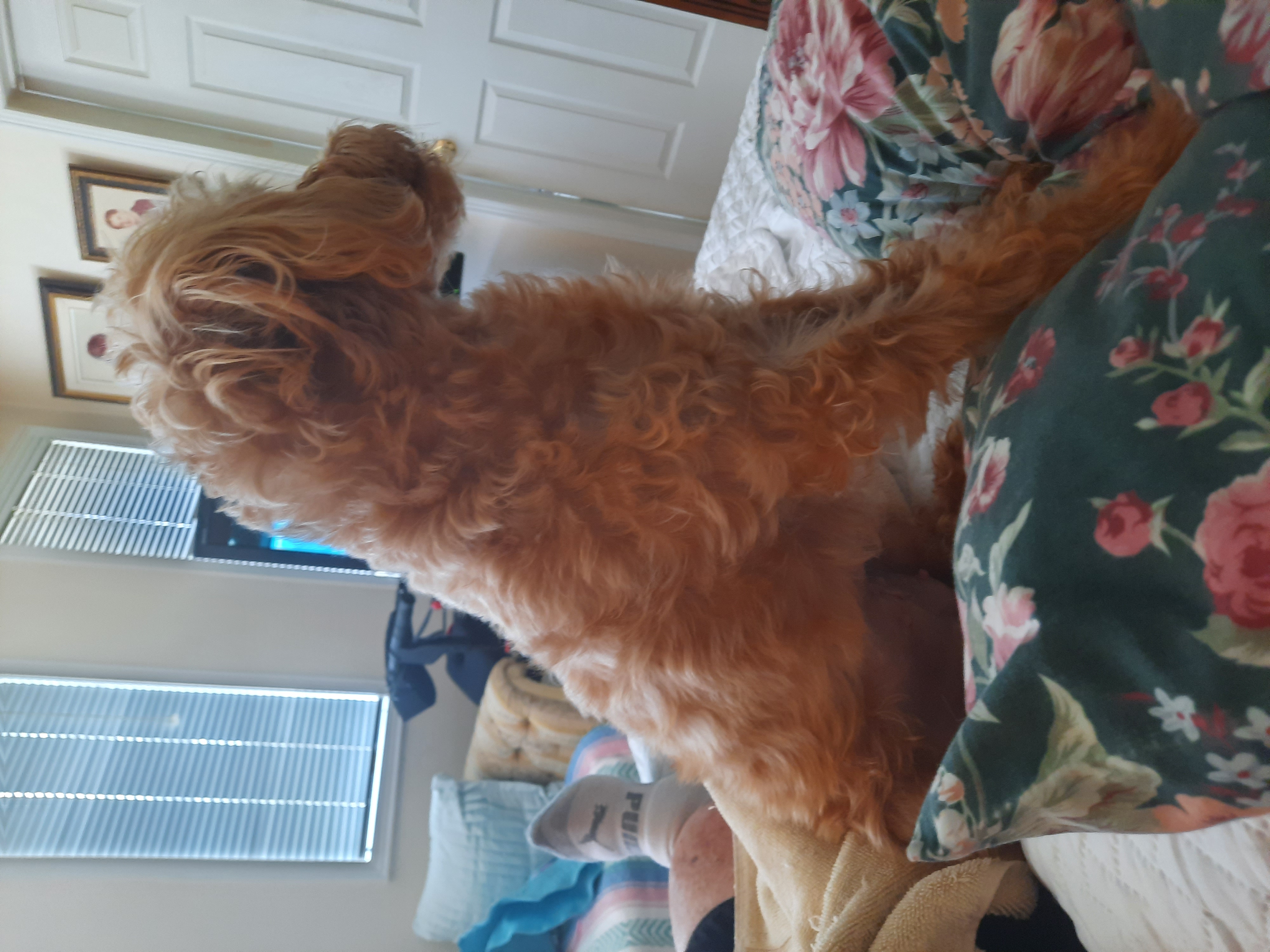 Judy F.'s post 1