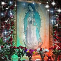 Ana Larrea's profile image