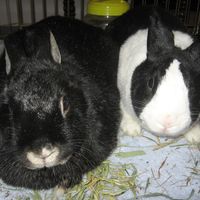 Wendy Duffus's profile image