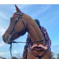 Katherine Nicole Littlecrow's profile image