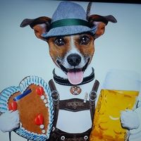 Margriet Kastorf's profile image