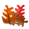 Ortiz's profile image