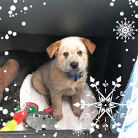 Nita Irvin's profile image