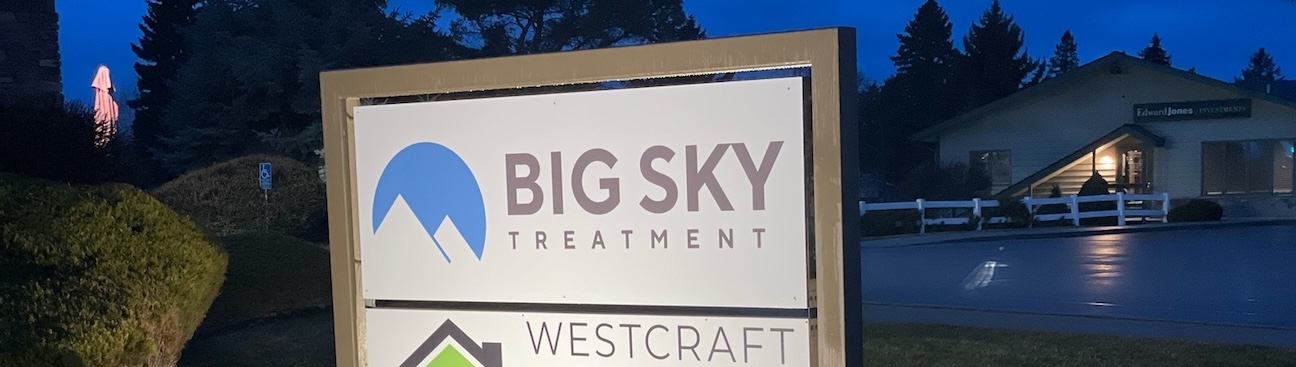 BIG SKY Treatment's cover image
