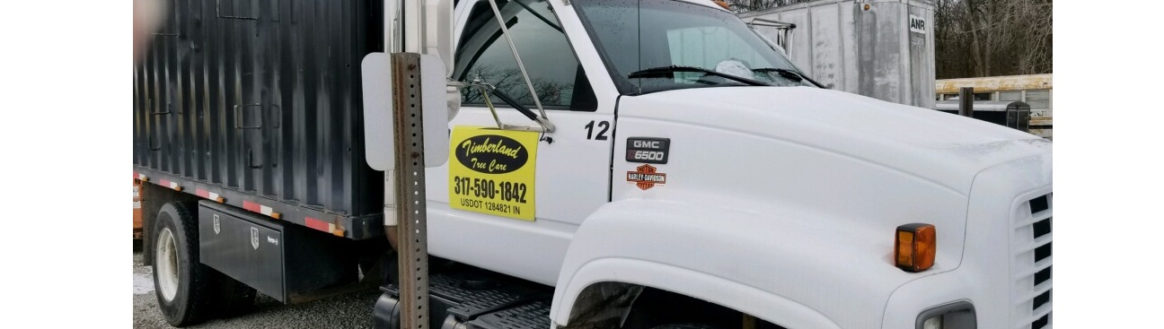 Timberland Tree Care