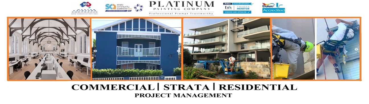 Platinum Painting Company's cover image