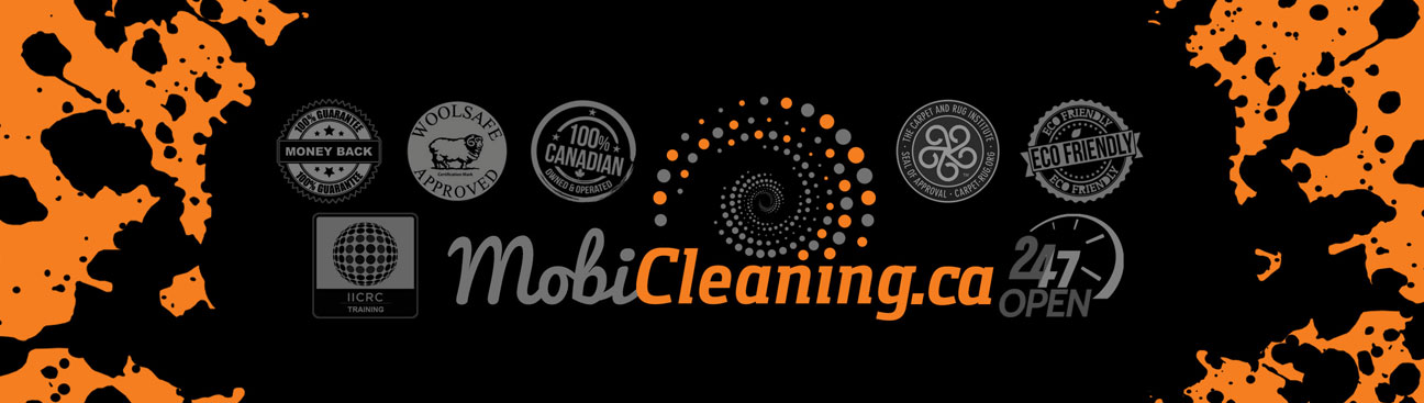 Mobi Cleaning Canada's cover image