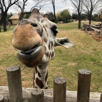 Melissa Gail's profile image