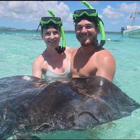 Katie Buddin's profile image