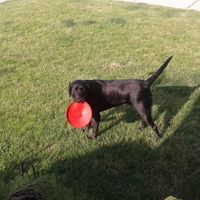 Tracy Grogan's profile image
