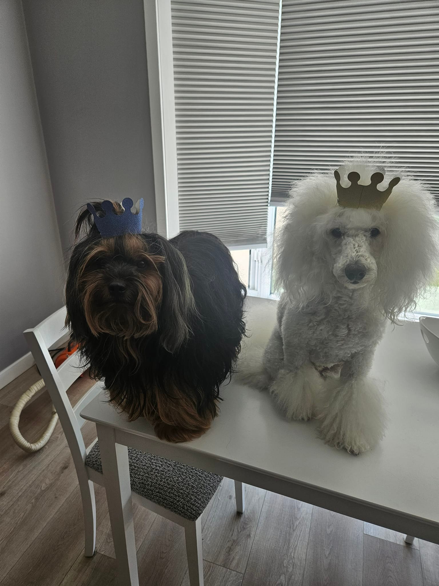 Millie J.'s post 1