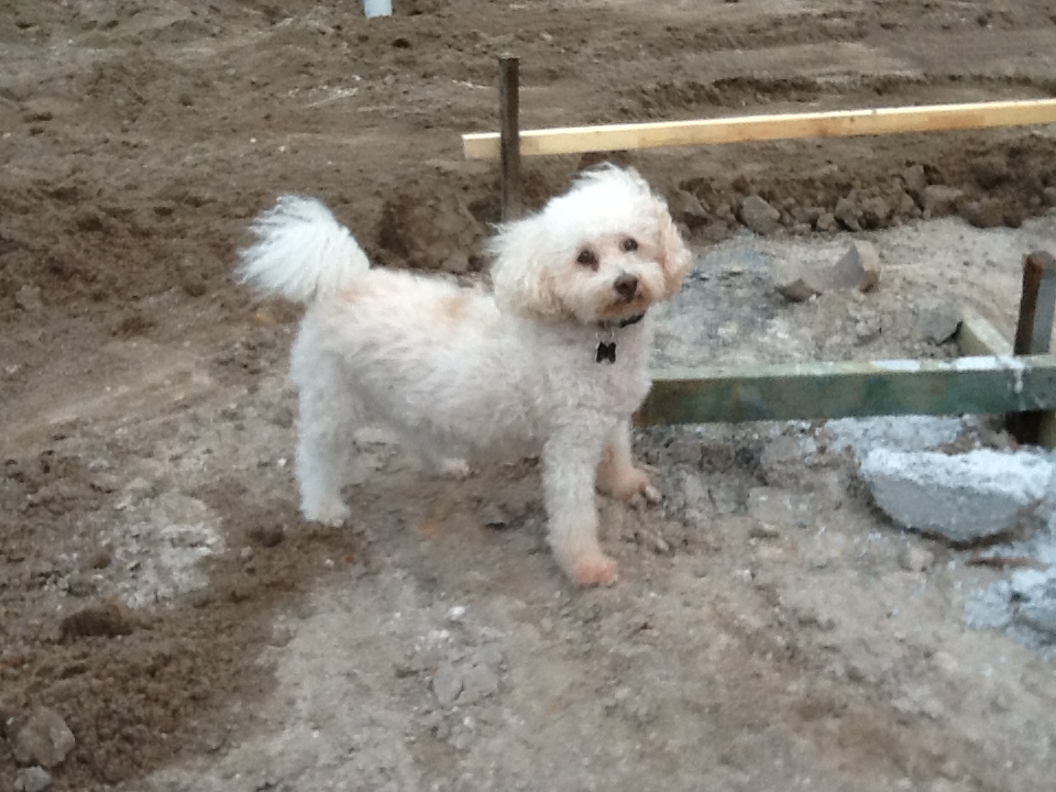 Max “Gordini8” D.'s post 1