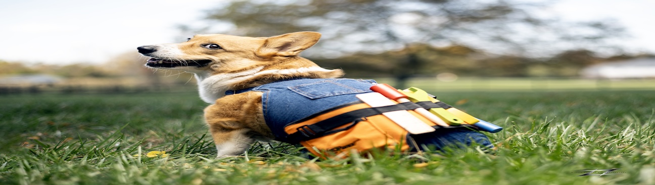 Pembroke Plumbing's cover image