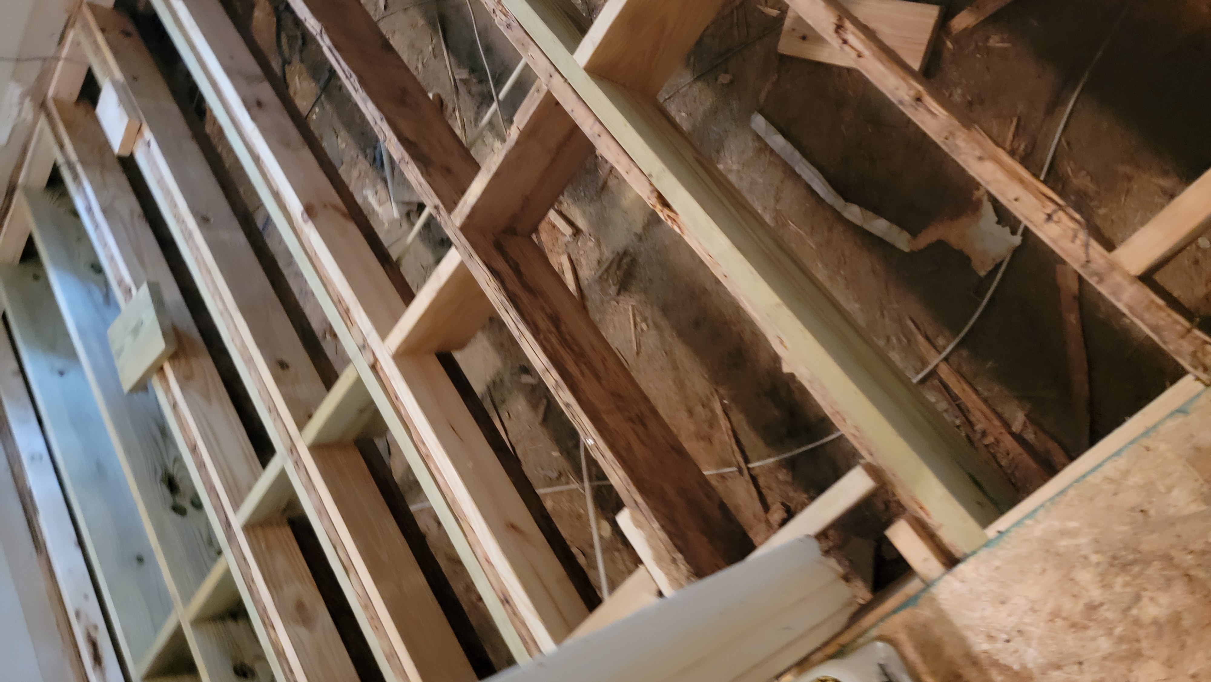 signmedik S.'s post 1