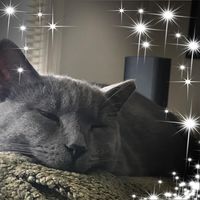 Marge Bethel's profile image