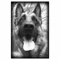 Jayne Sauveterre's profile image