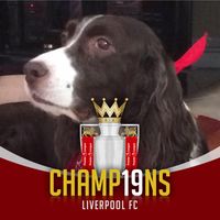 Anthony Merza's profile image