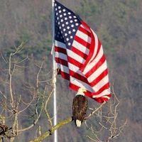 CharJohn HookSmidt's profile image