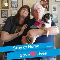 Julie Whitman Jones's profile image