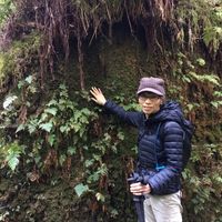 Mary Convento's profile image