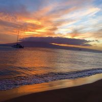 Damani Richard's profile image