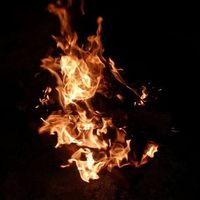 Christopher Poulin's profile image