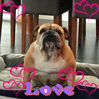 Gary Walsh's profile image