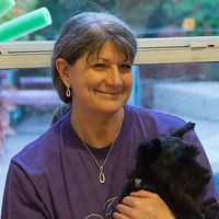 Rhonda Kiesling's profile image