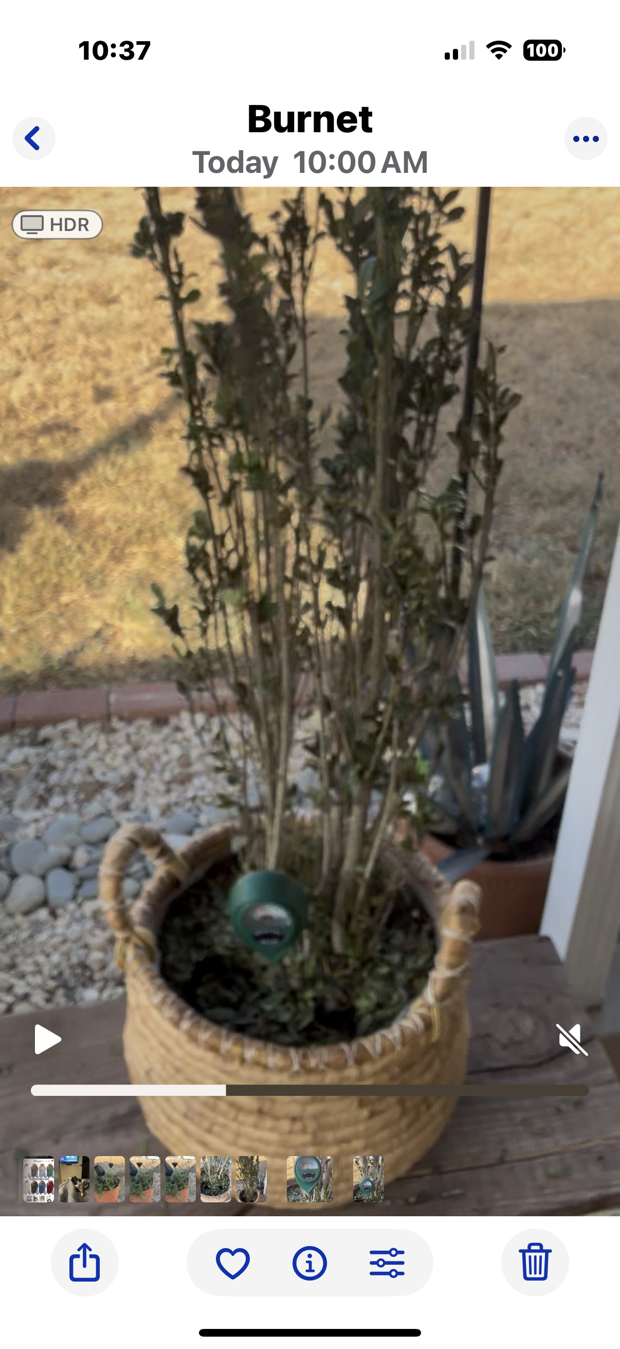 Kristene E.'s post 2