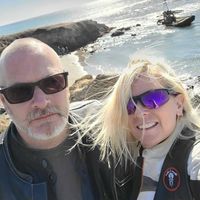 Sue Berry's profile image