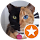 Kris Turnbaugh avatar