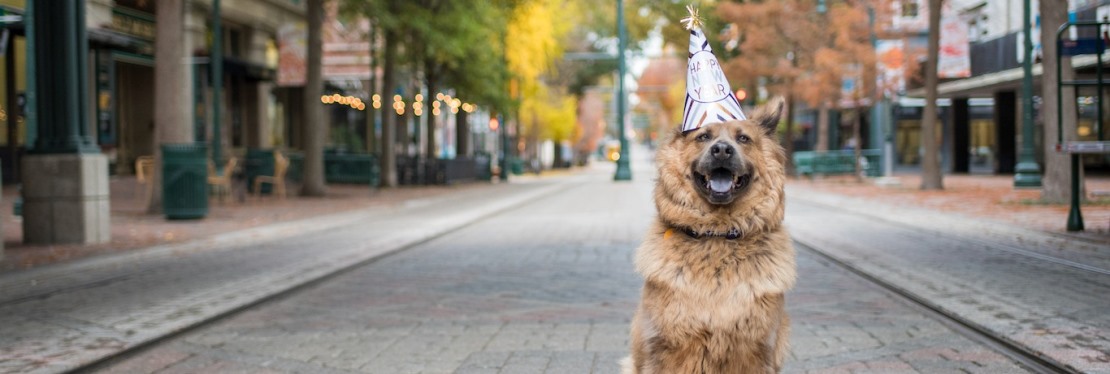 Hollywood Feed Reviews, Ratings | Pet Stores near 6413 Avondale Dr , Nichols Hills OK United States