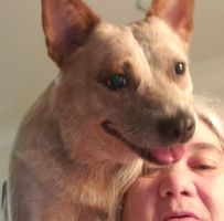 Tricia Suchanek's profile image