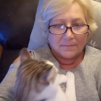Elisabeth Humphries's profile image