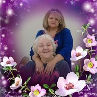 Shelia Dutton's profile image