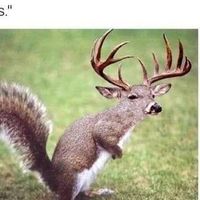 Brian Baker's profile image