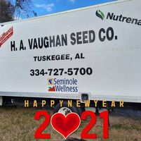 Cathy Vaughan's profile image